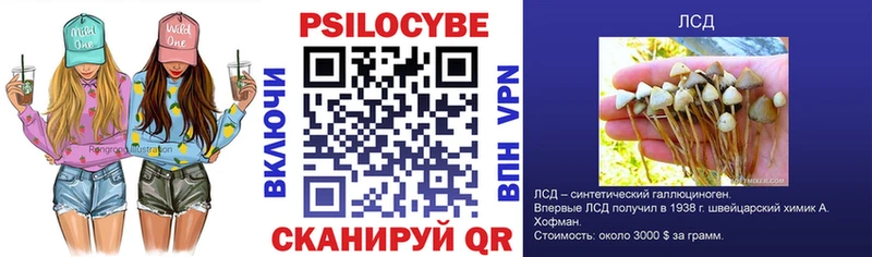 Галлюциногенные грибы Cubensis  Пойковский 