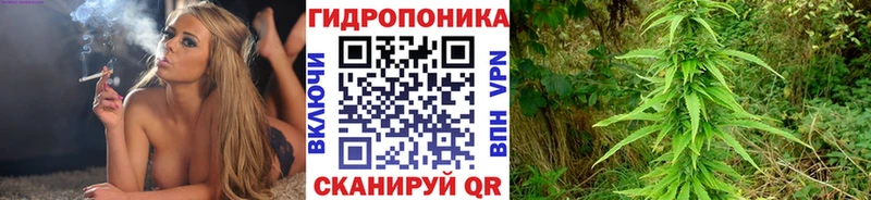omg ссылка  Пойковский  Шишки марихуана MAZAR  даркнет сайт 
